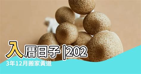 入厝吉日2023|入宅黃道吉日 2023年入宅黃道吉日 黃曆 農曆